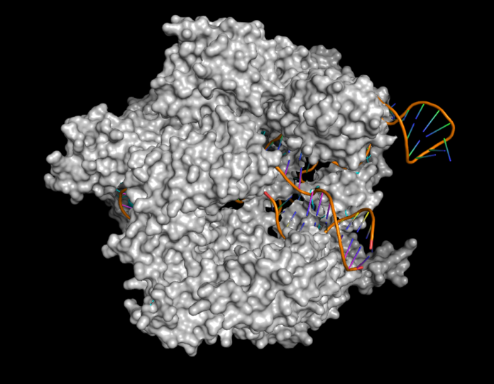 AI Protein Modelling